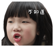 856353533
