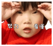 856353541