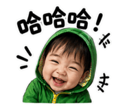 856353565
