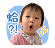 856353630