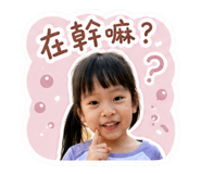 856353876