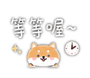 856354431