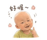 856354581