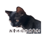 856354793
