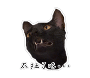 856354794