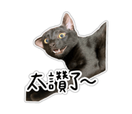 856354798