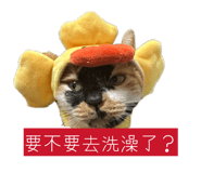 856354873