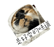 856354877