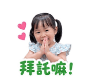 856355081