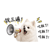 856355239