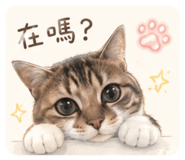 856355323
