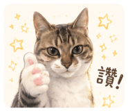 856355328