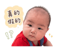856356268