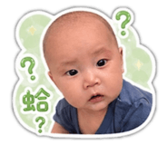 856356416