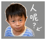 856356458
