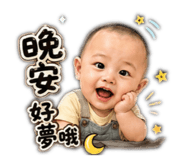 856356499