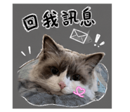856356549