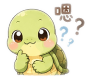 856357502