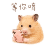 856357637