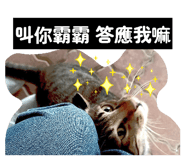 856359354