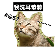 856359379