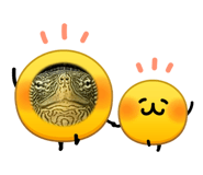 856360336
