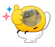 856360343