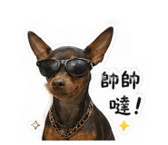 856360368