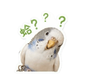 856361687