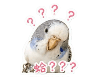 856361693