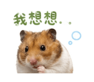 856361767