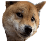 856361795