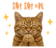 856361861
