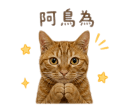 856361869