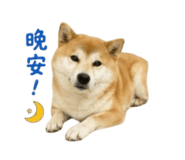 856362276