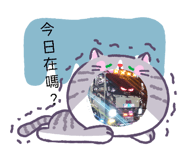 856362313