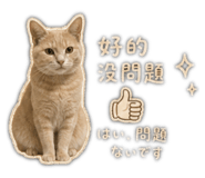 856362445