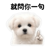 856362550