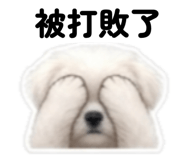 856362556