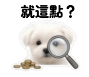 856362565