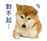 856363047