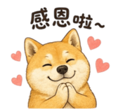 856363812