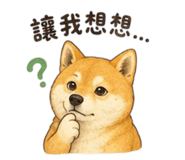 856363813