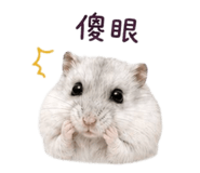 856363916
