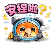 856363963