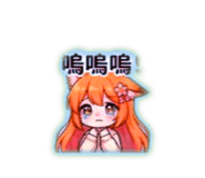 856364116