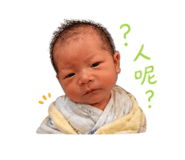 856364691