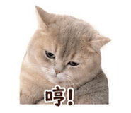 856364891