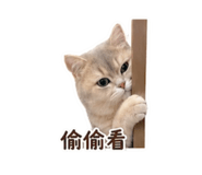 856364894
