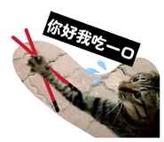 856365107